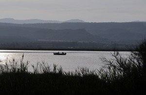 Bateau Roquette